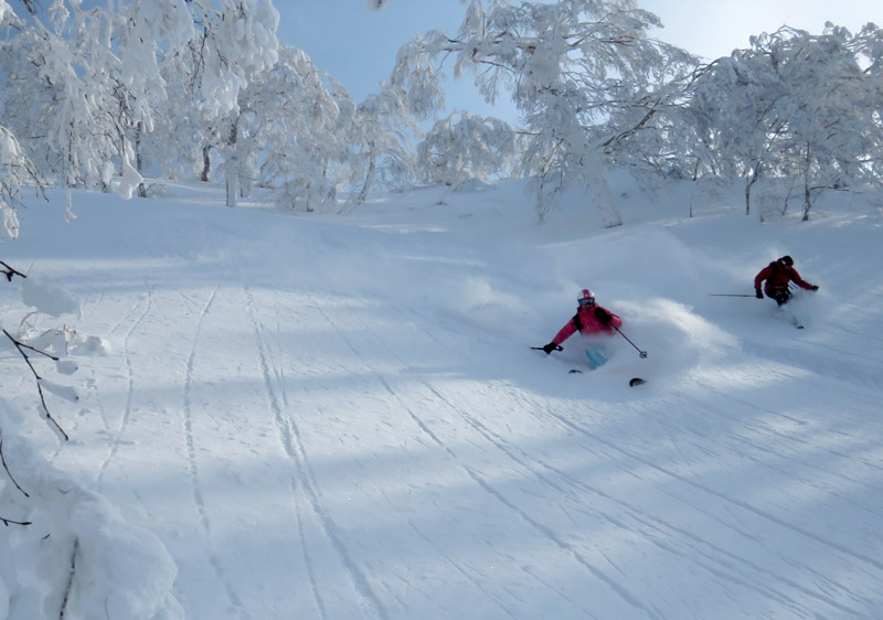 Heli Skiing Japan Niseko Heli Skiing