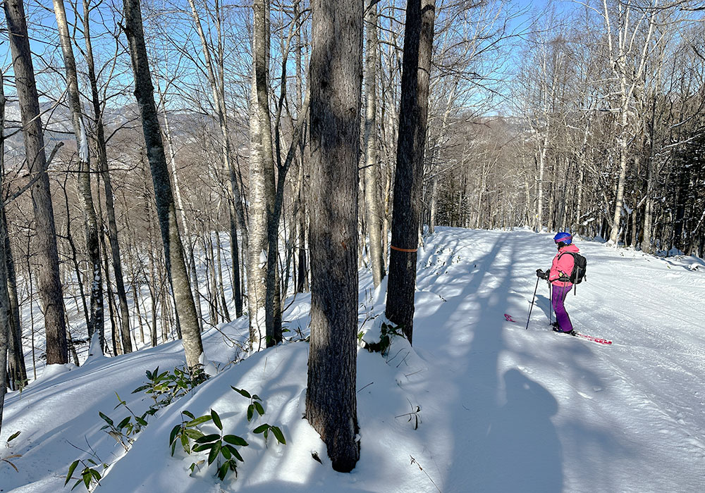 Hidaka Kokusai Ski Resort