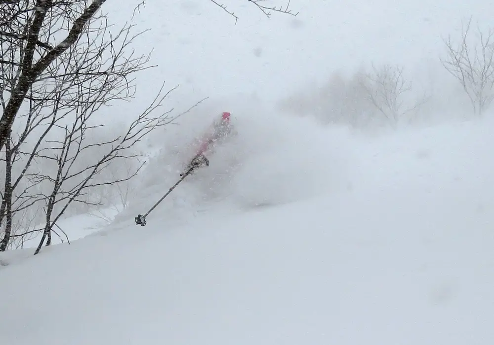 Japan's ski resorts