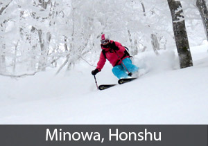 Minowa - #3 rated ski resort in Japan for Powderhounds
