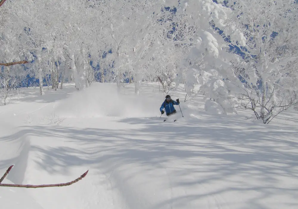 Otaru Region: it scores a LOT of snow