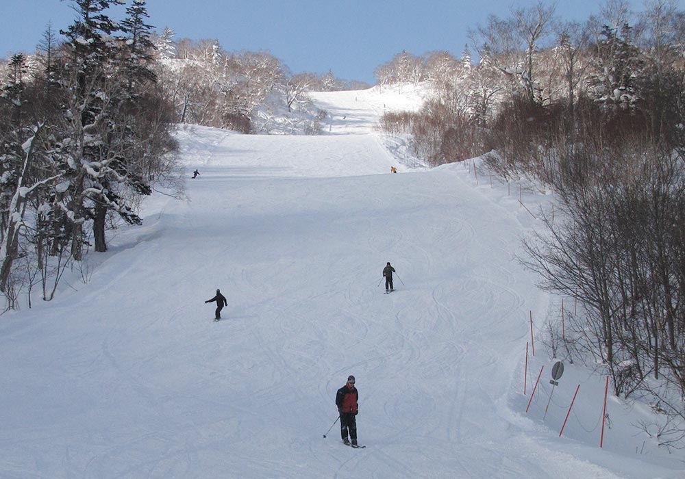 Sapporo Kokusai Skiing Boarding Snow