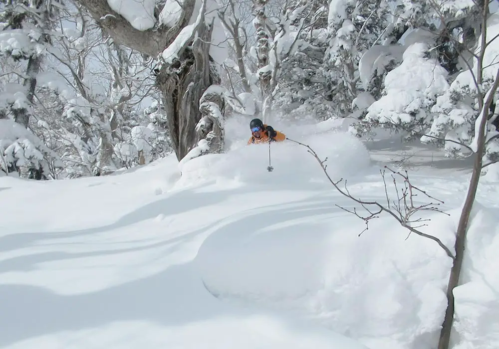 Sapporo Kokusai Ski Resort Reviews