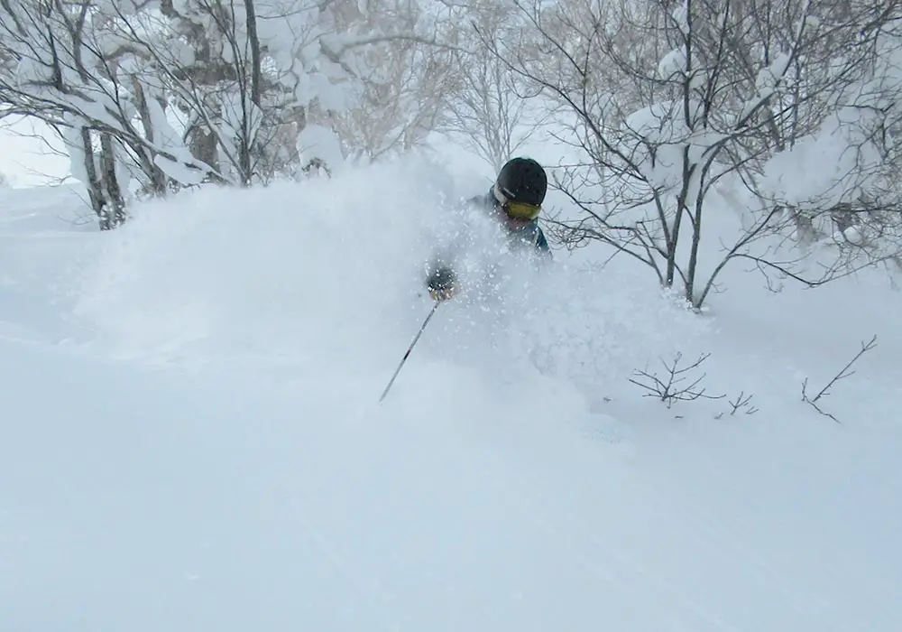 Sapporo Kokusai Ski Resort Reviews