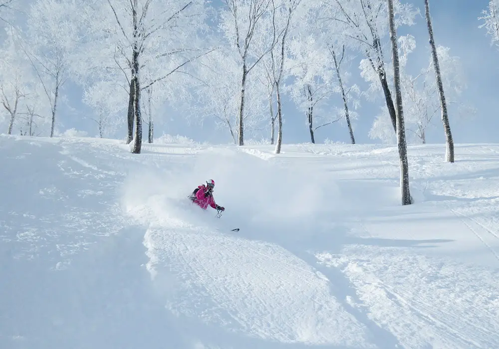 Madarao Ski Resort | Madarao Kogen Review