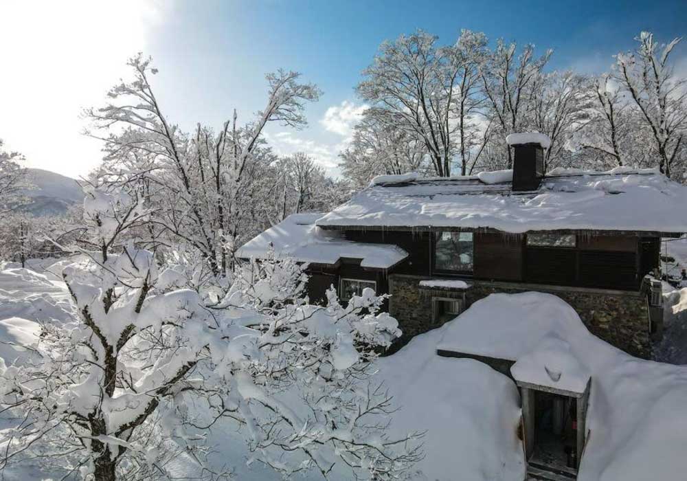 Wasabi Wonderland Myoko