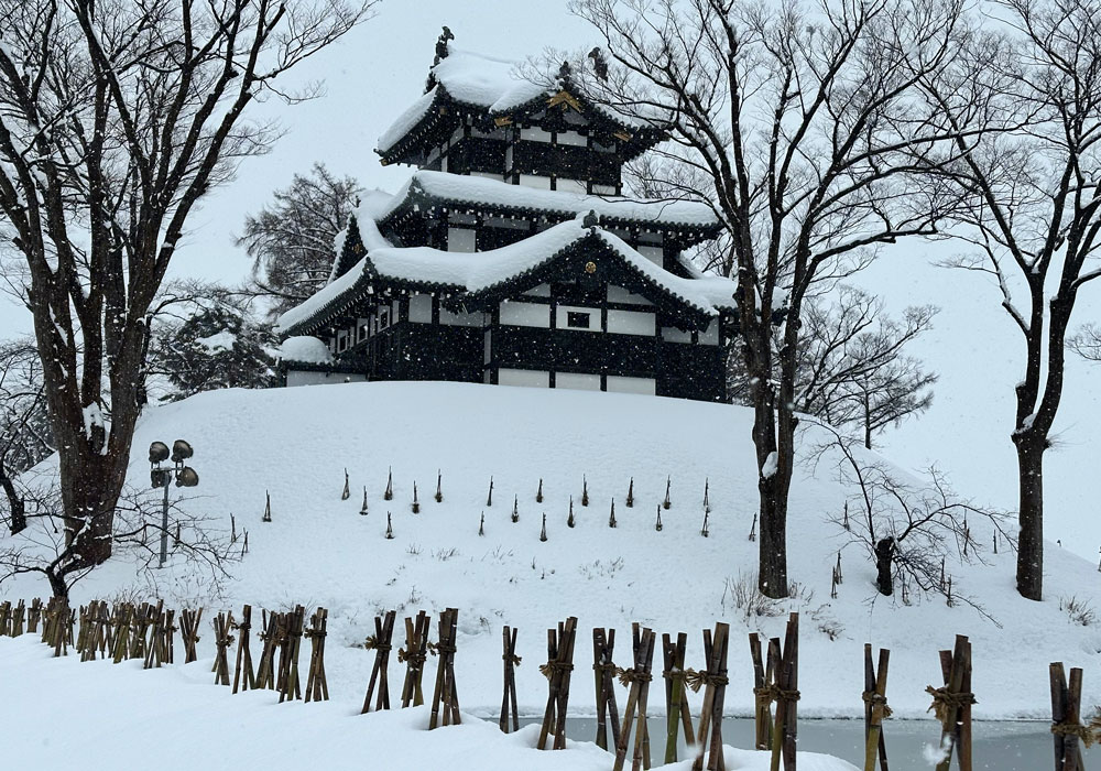 Takada Castle