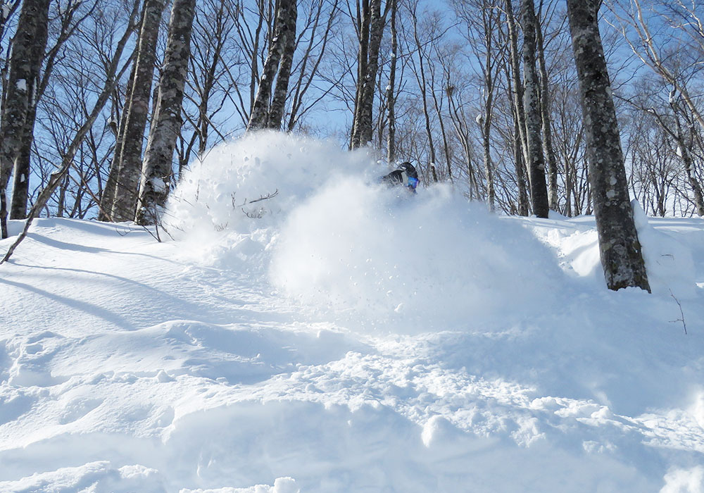 Myoko Ski Resort Myoko Skiing, Snowboarding Ratings