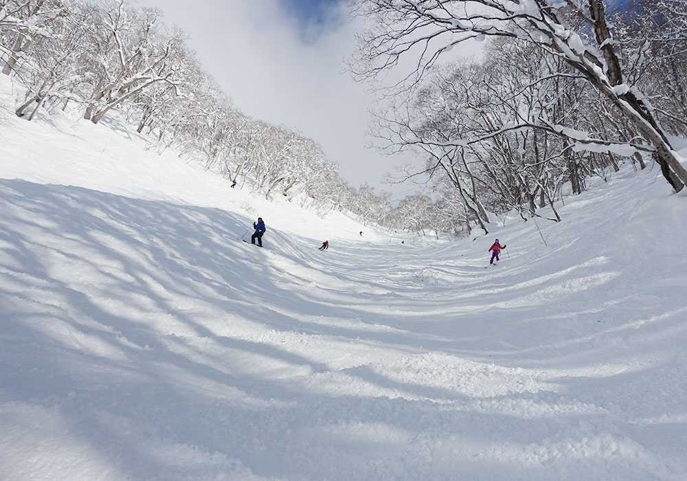 Niseko Village Ski Resort, Ratings, Snow