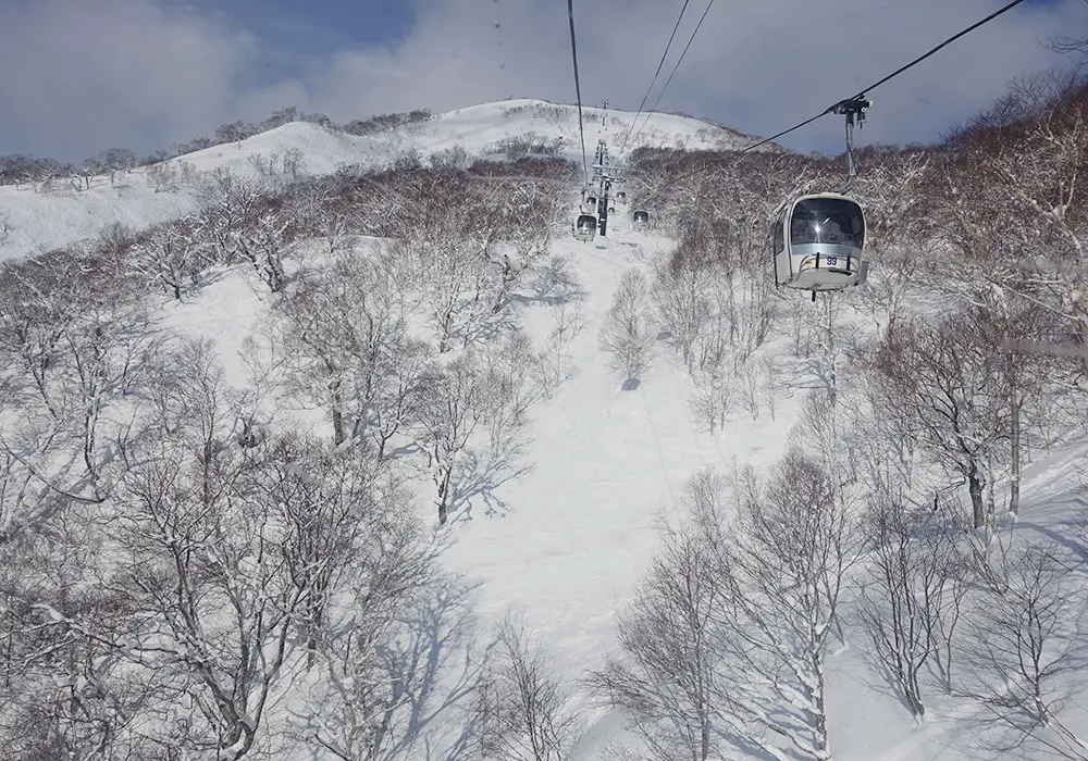 Niseko Village Ski Resort, Ratings, Snow