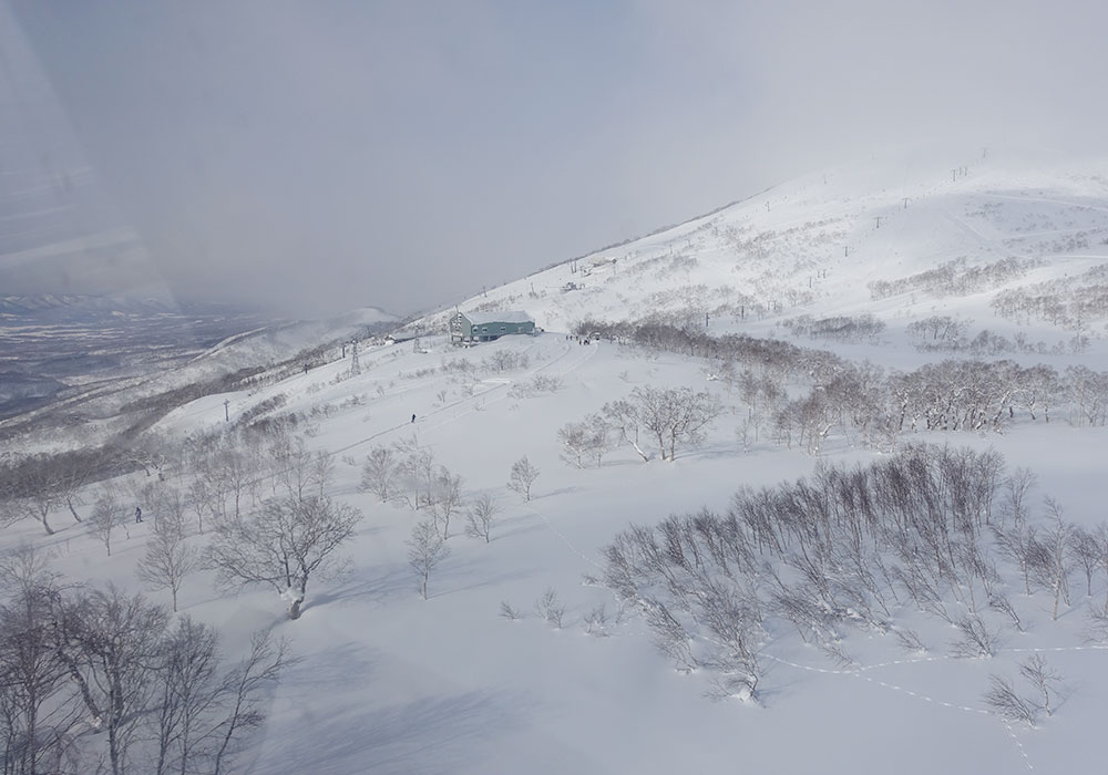 Niseko Village Ski Resort, Ratings, Snow