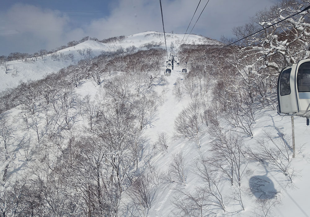Niseko Village Ski Resort, Ratings, Snow