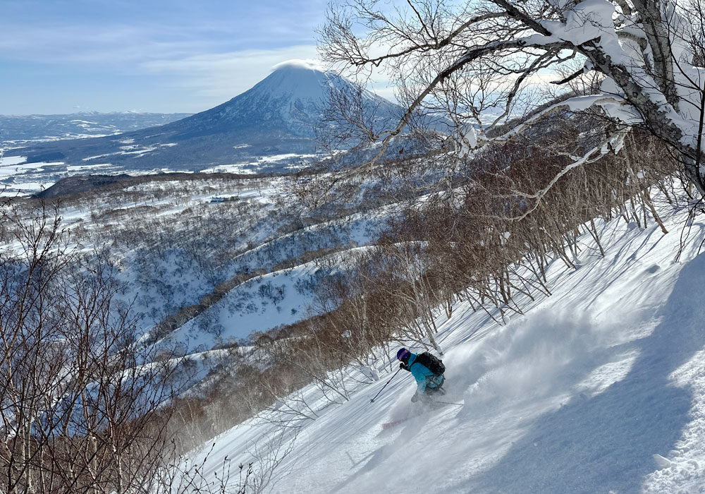 Niseko Gates System Niseko Sidecountry