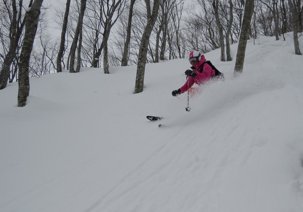 Nozawa Onsen Snow Resort Nozawa Ski Resort Ratings