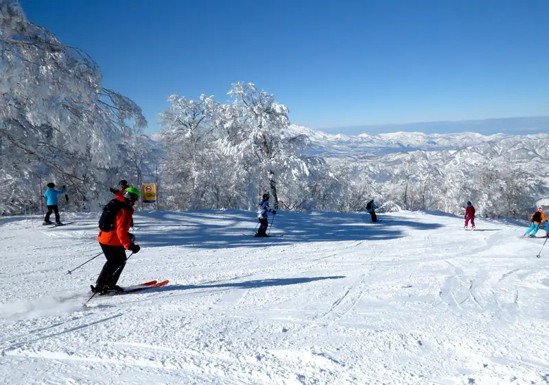 Nozawa Onsen Snow Resort | Nozawa Ski Resort Ratings