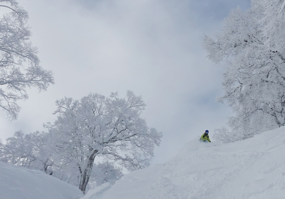 Nozawa Onsen Snow Resort Nozawa Ski Resort Ratings