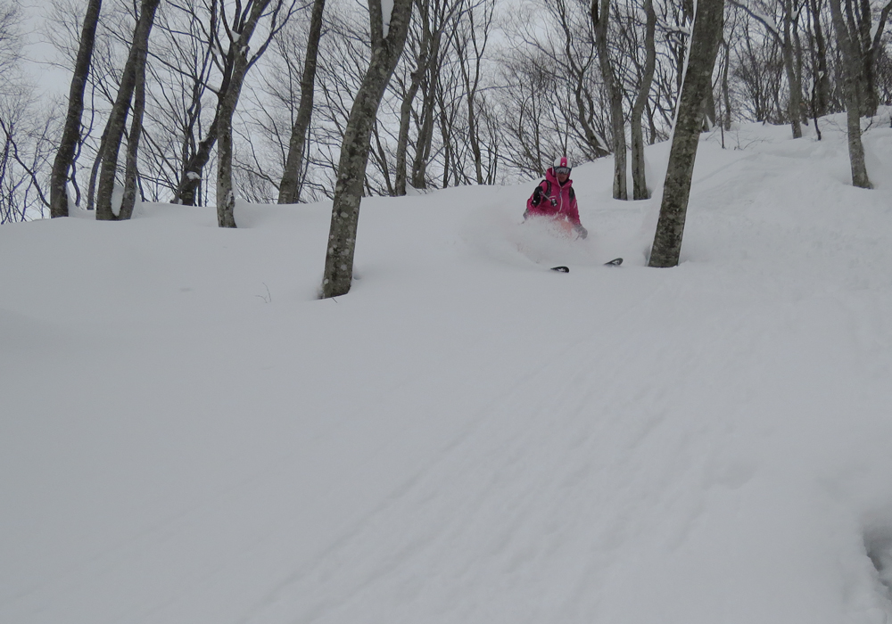 Nozawa Onsen Snow Resort Nozawa Ski Resort Ratings