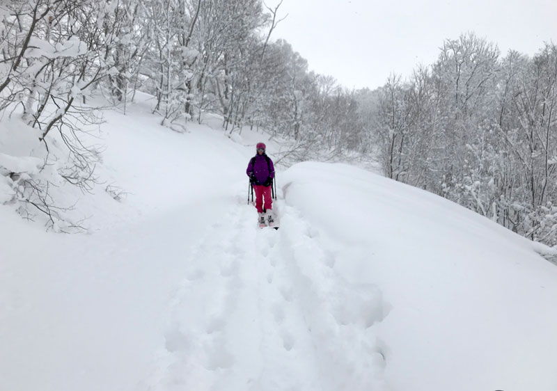 Pippu Hokkaido Skiing Ratings, Snow