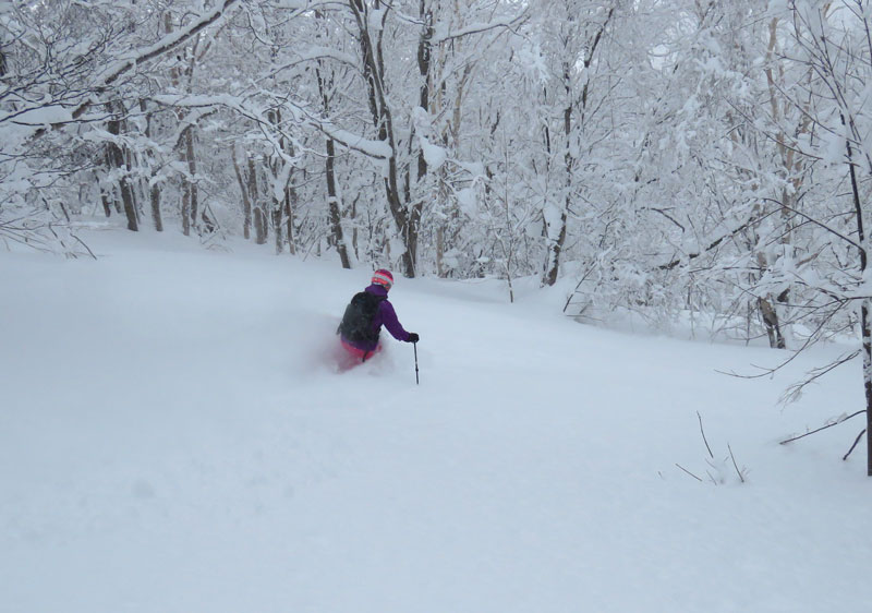 Pippu Hokkaido Skiing Ratings, Snow