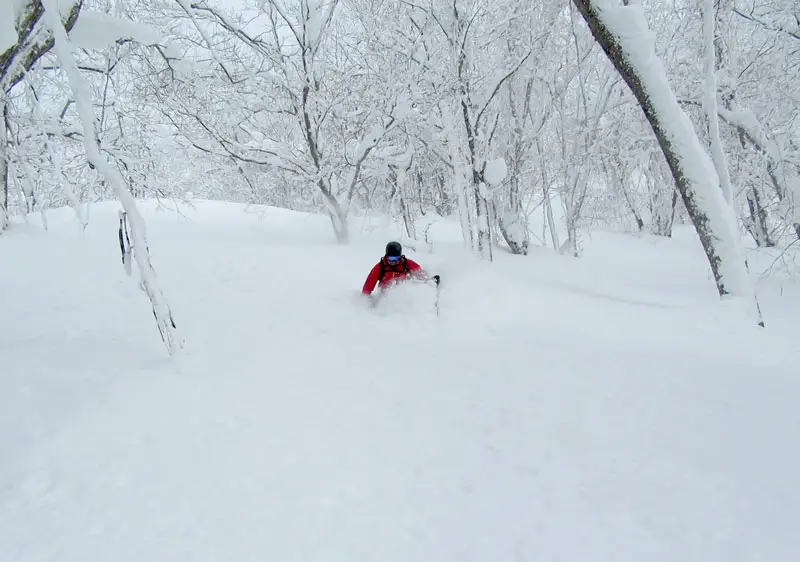 Pippu Hokkaido