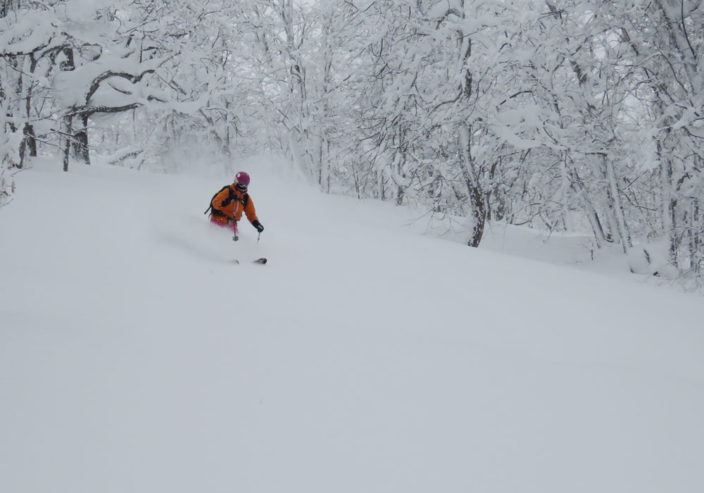 Nayoro Piyashiri Ski Area