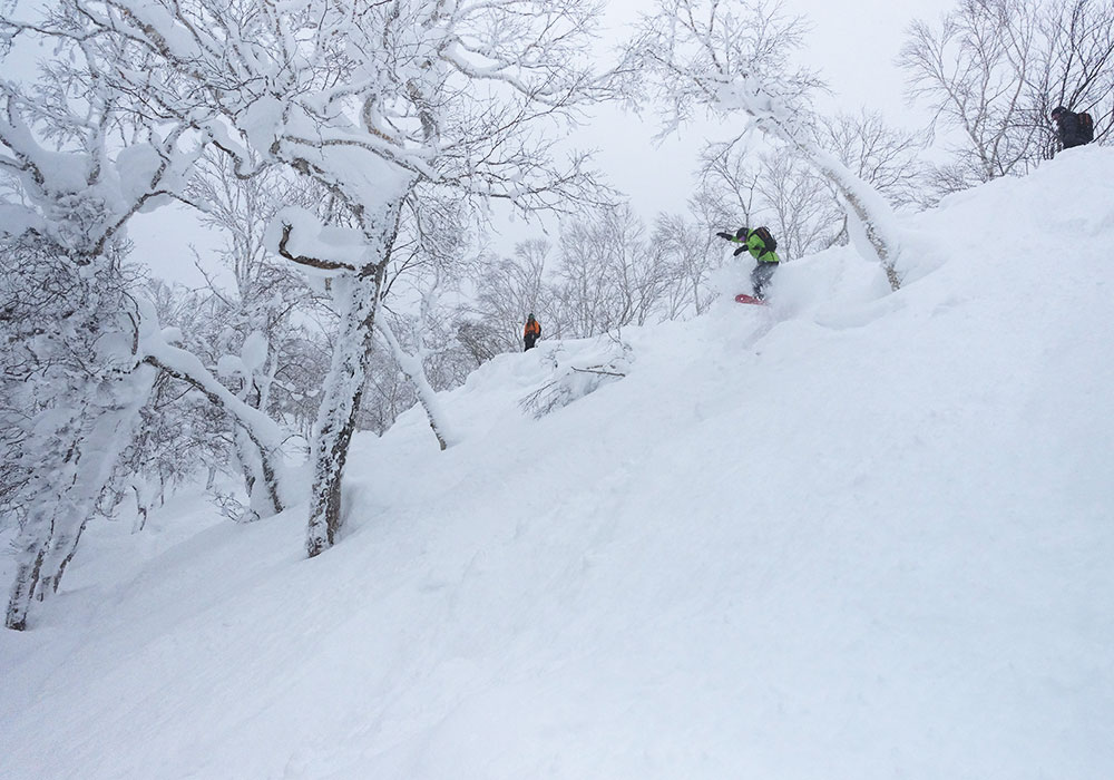 Ski Rusutsu Japan Rusutsu Snow, Skiing Ratings