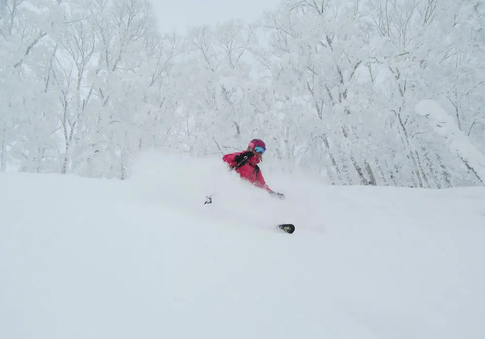 Ski Rusutsu Japan Rusutsu Snow, Skiing Ratings