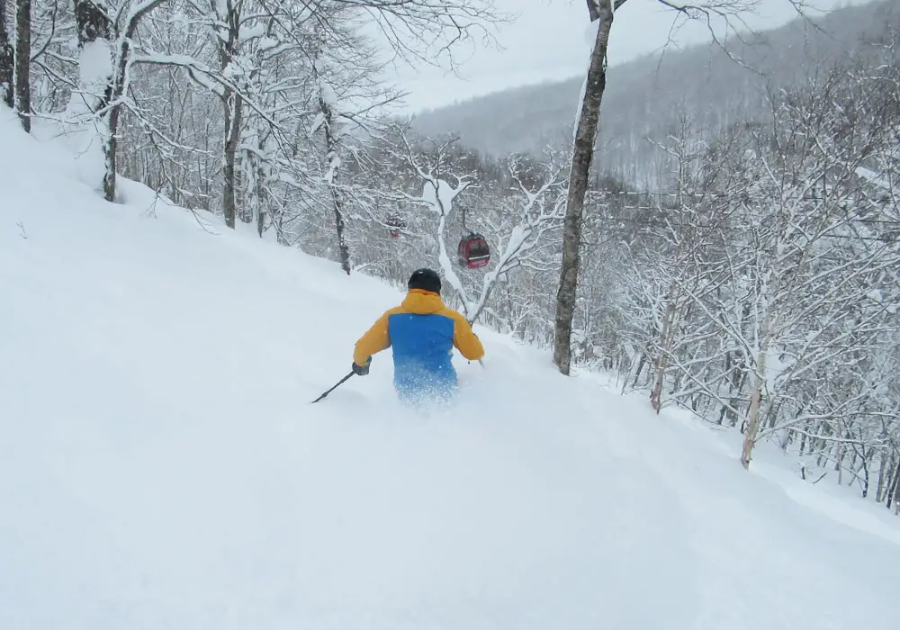 Ski Rusutsu Japan Rusutsu Snow, Skiing Ratings