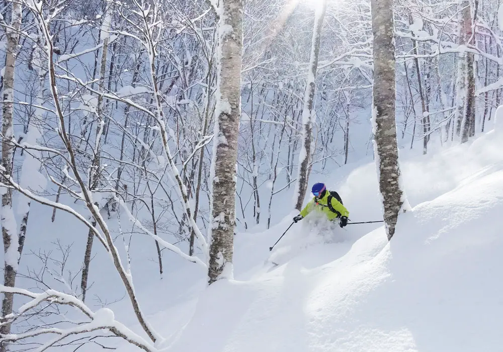 Rusutsu Ski Resort Japan