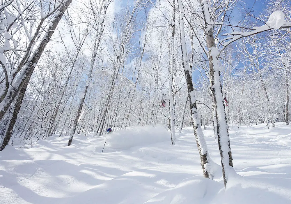 Rusutsu Ski Resort Japan | Rusutsu Resort Review