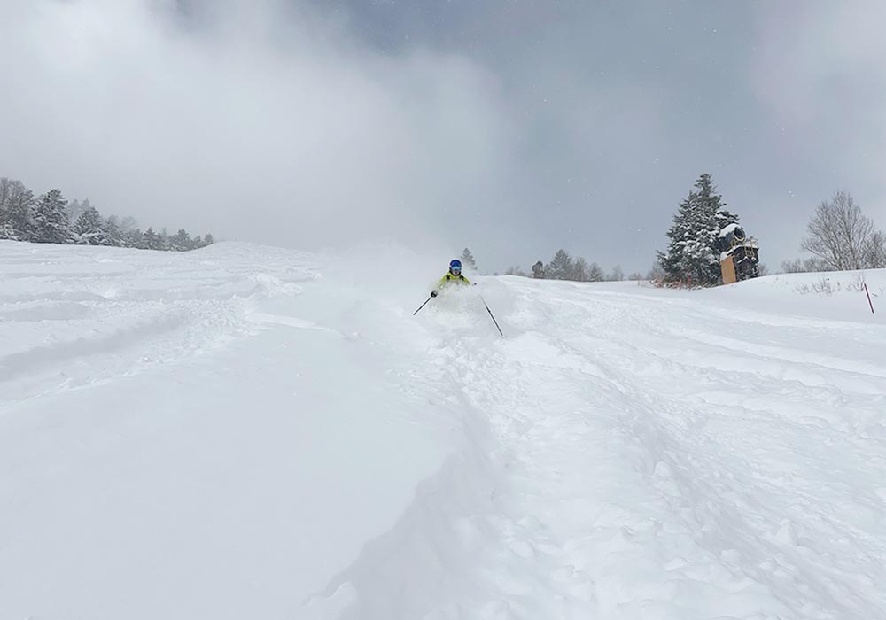 Shiga Kogen Ski Area Snow, Skiing, Ratings