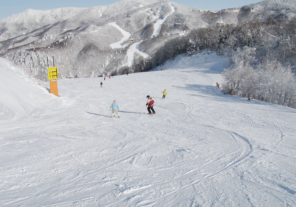Shiga Kogen Ski Area Snow, Skiing, Ratings