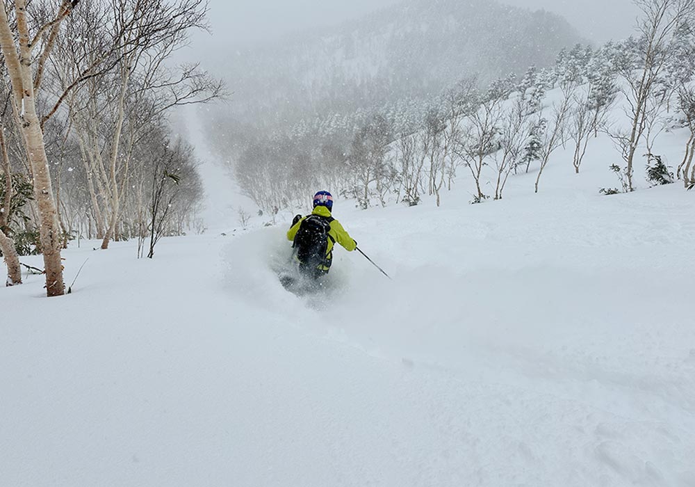 Shiga Kogen Ski Area Snow, Skiing, Ratings