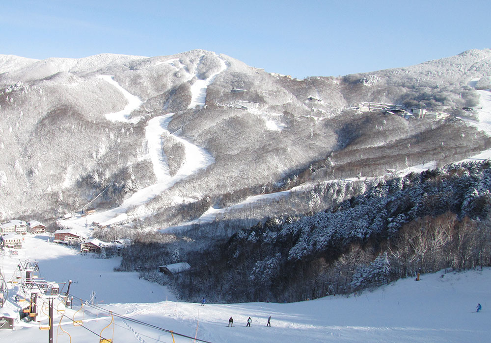 Shiga Kogen Ski Area Snow, Skiing, Ratings