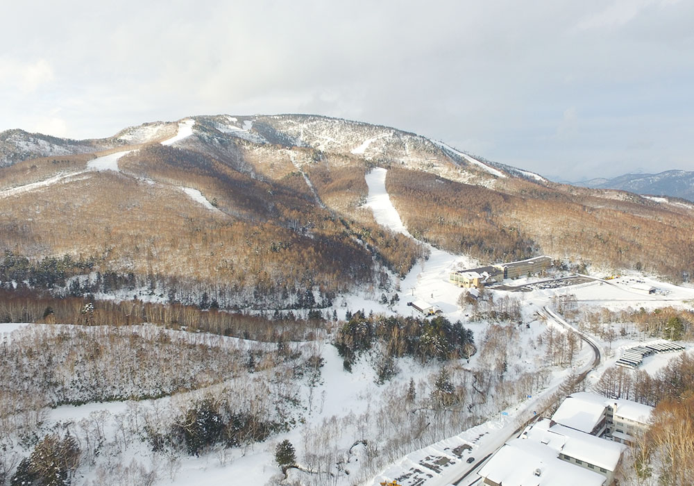 Shiga Kogen Ski Area Snow, Skiing, Ratings