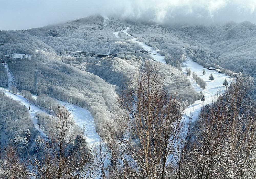 Shiga Kogen Ski Area Snow, Skiing, Ratings