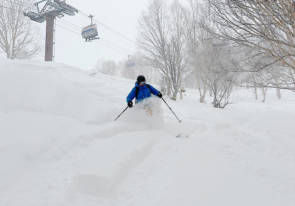 Shiga Kogen Ski Area Snow, Skiing, Ratings