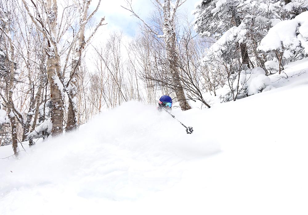 Shiga Kogen Ski Area Snow, Skiing, Ratings