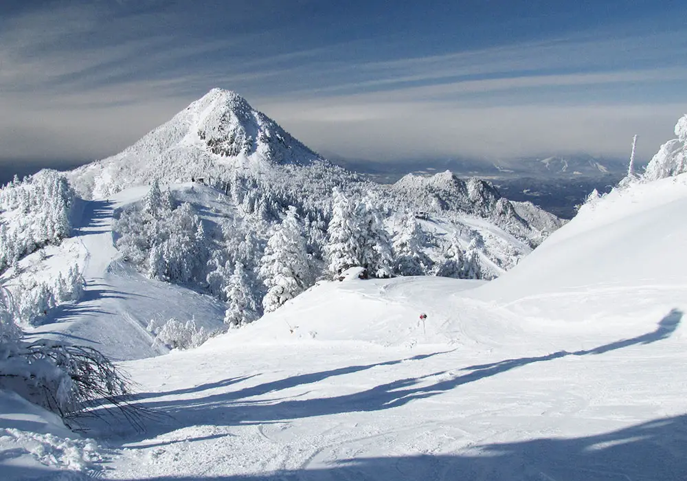 Shiga kogen discount