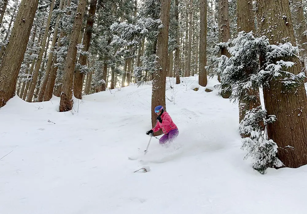 Lovely tree skiing Shizenkan