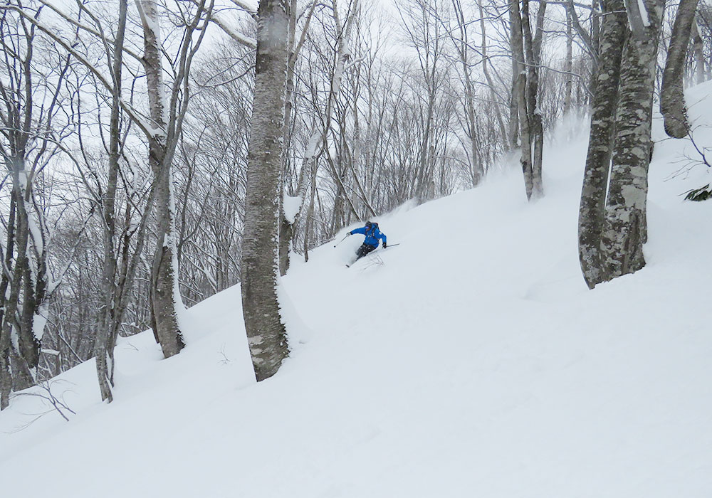 Tangram Ski Resort Terrain, Snow, Ratings