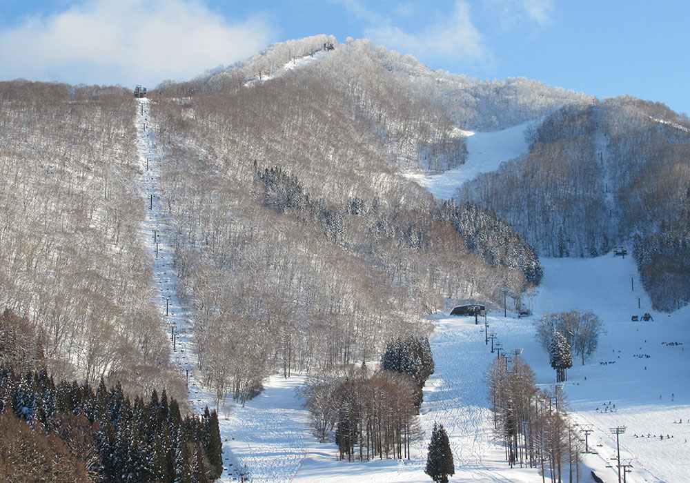 Tangram Ski Resort Terrain, Snow, Ratings