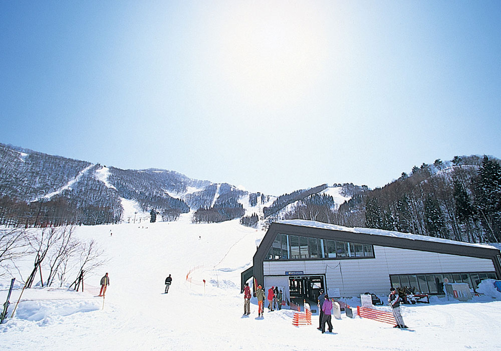 Tangram Ski Resort Terrain, Snow, Ratings