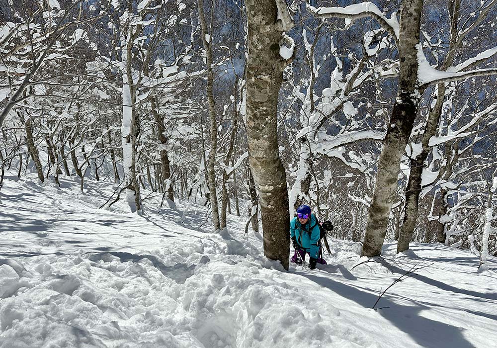 Tazawako Ski Area Ratings Skiing Tazawako Japan