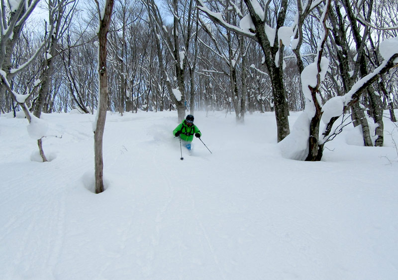 Tazawako Ski Area Ratings Skiing Tazawako Japan