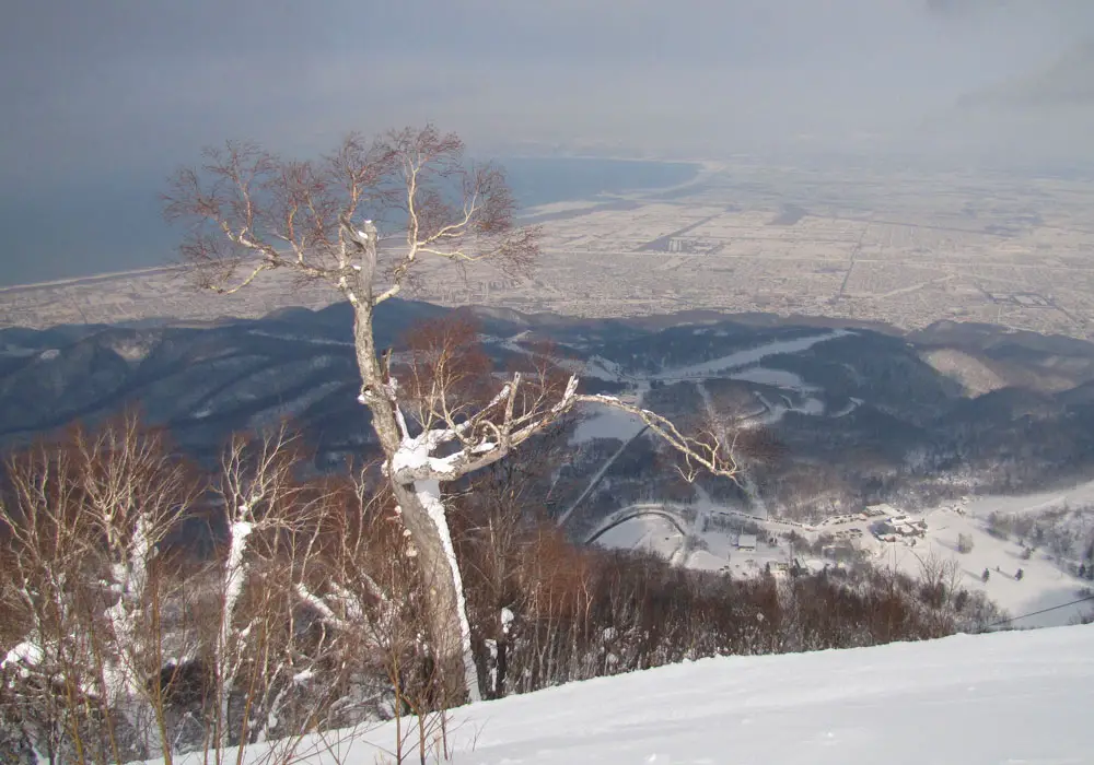 Hasil gambar untuk Sapporo Teine Ski Resort
