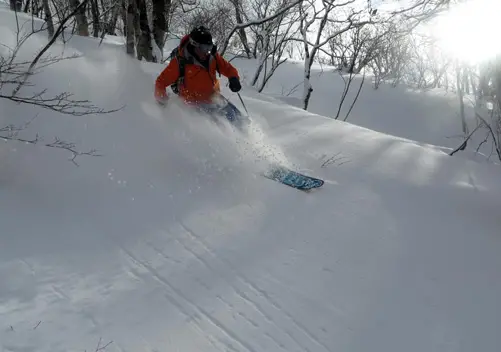 There are fresh lines galore in the trees at Togakushi