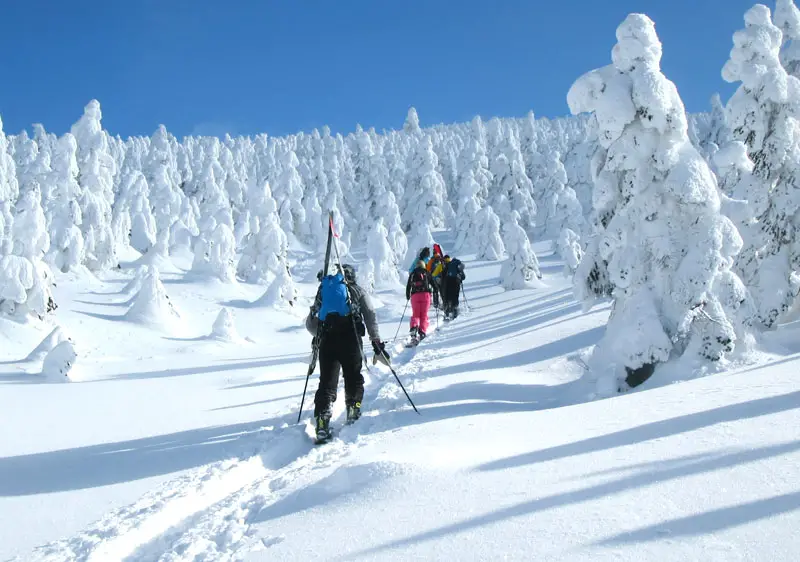 Northern Tohoku Self-Guided Road Trip | Japan