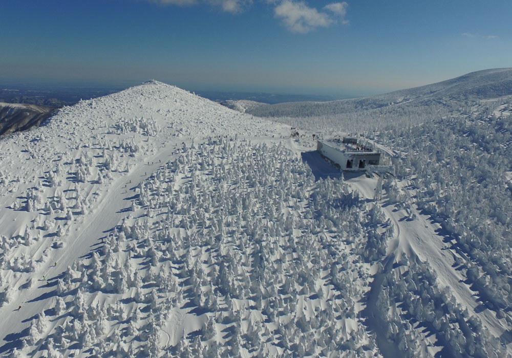 Zao Snow Monsters | Zao Onsen Activities