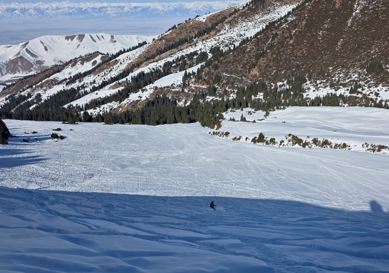 Karakol freeride powder